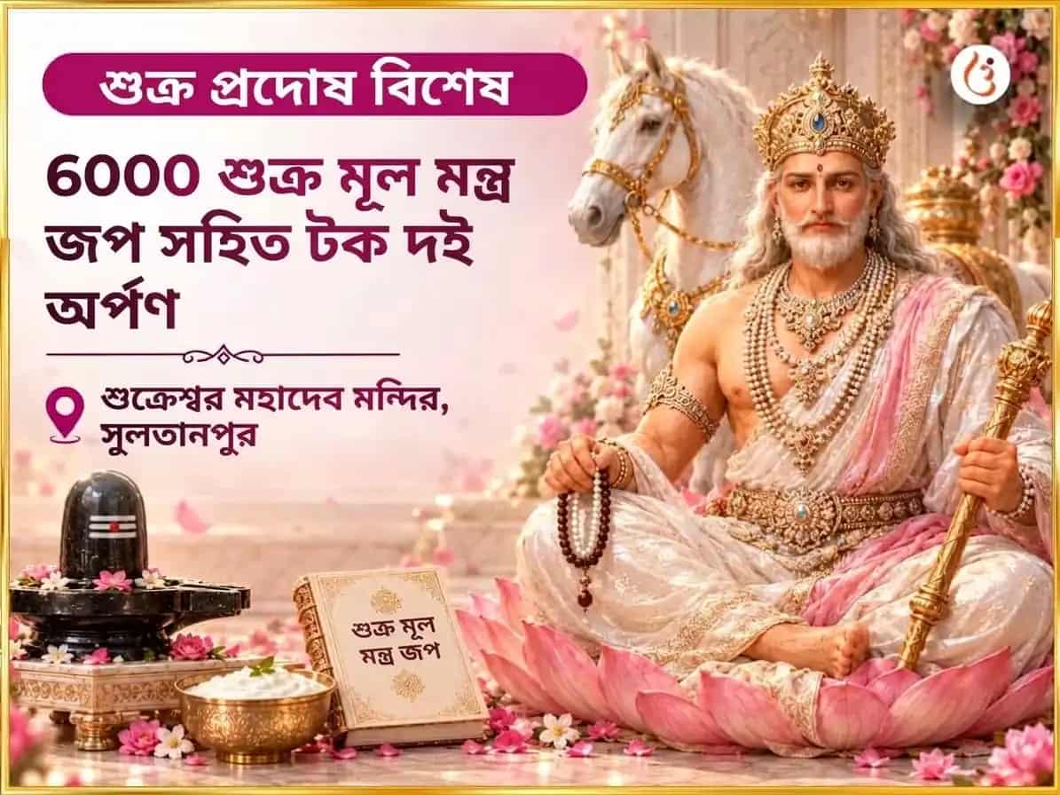 শুক্র প্রদোষ বিশেষ 6000 শুক্র মূল মন্ত্র জপ ও টক দই অভিষেক puja image 1