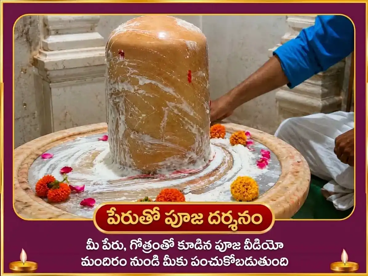 శుక్ర ప్రదోష విశేష్ 6000 శుక్ర మూల మంత్ర జపం & పుల్లటి పెరుగు అభిషేకం puja gallery 2