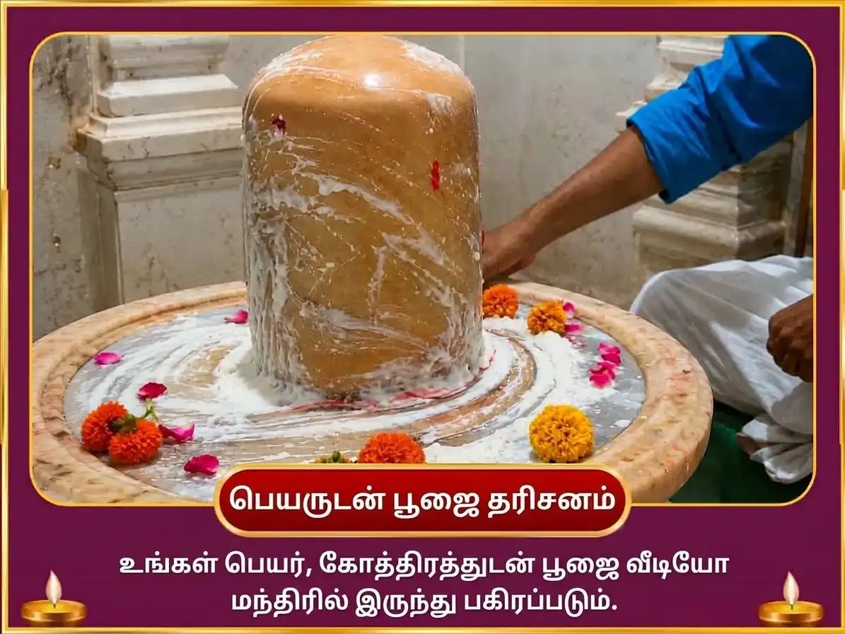 சுக்கிர பிரதோஷ விசேஷம் 6000 சுக்கிர மூல மந்திர ஜபம் & புளித்த தயிர் அபிஷேகம் puja gallery 2