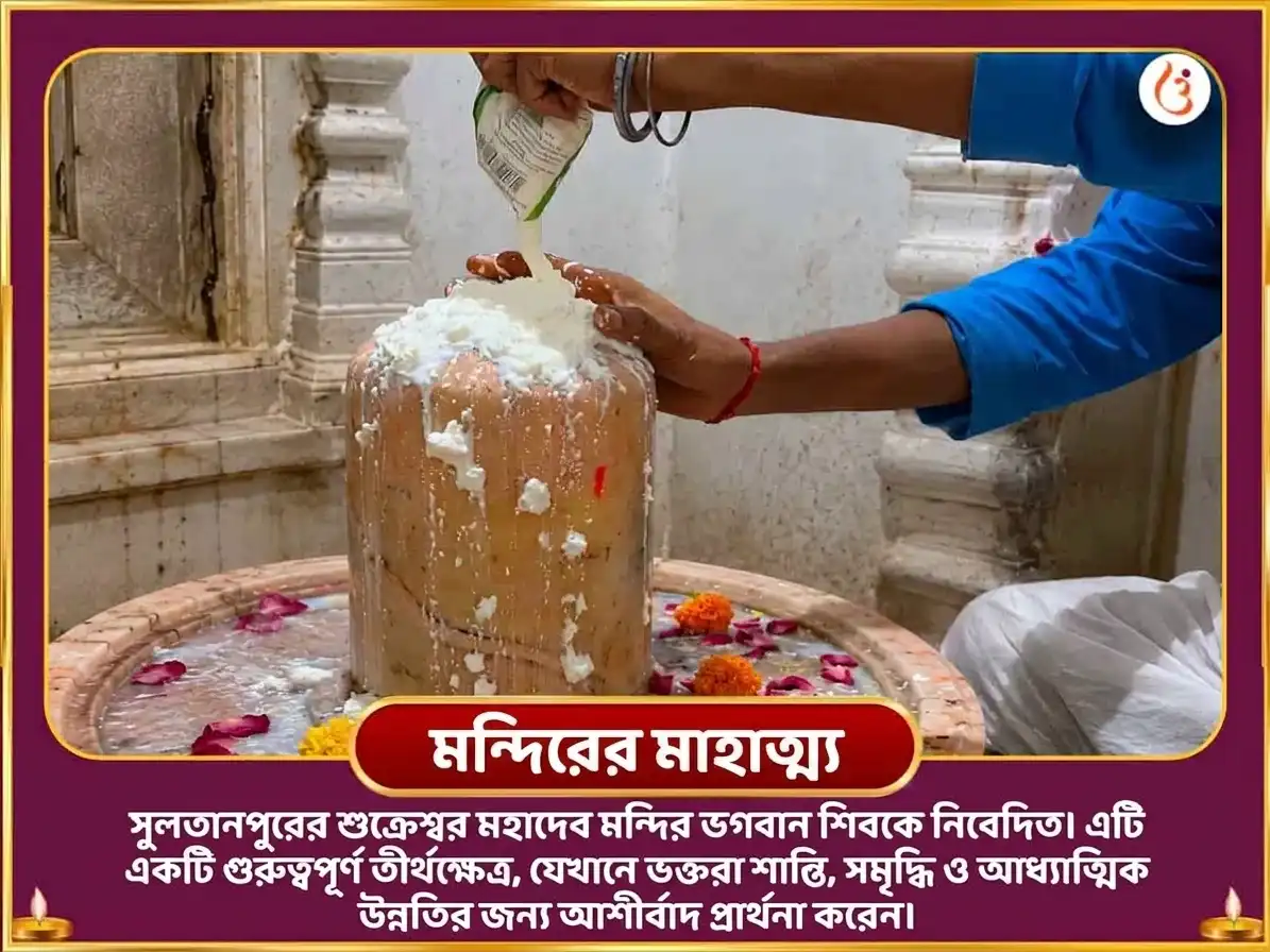 শুক্র প্রদোষ বিশেষ 6000 শুক্র মূল মন্ত্র জপ ও টক দই অভিষেক puja gallery 4
