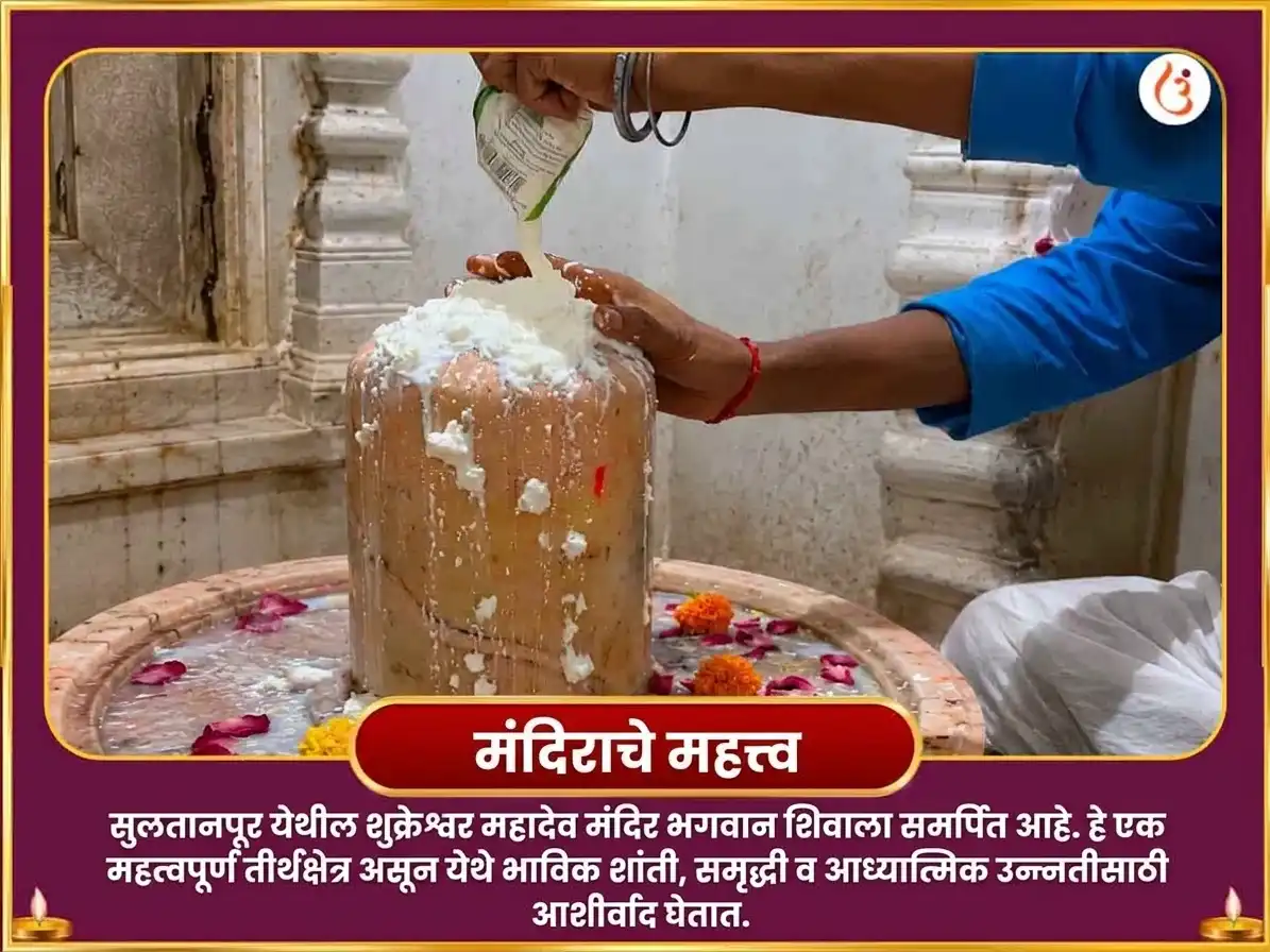 शुक्र प्रदोष विशेष 6000 शुक्र मूळ मंत्र जाप आणि आंबट दही अभिषेक puja gallery 4