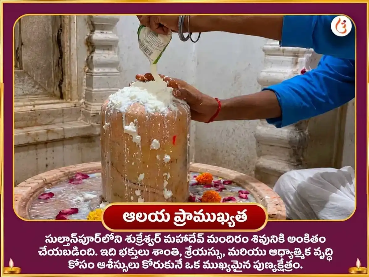 శుక్ర ప్రదోష విశేష్ 6000 శుక్ర మూల మంత్ర జపం & పుల్లటి పెరుగు అభిషేకం puja gallery 4