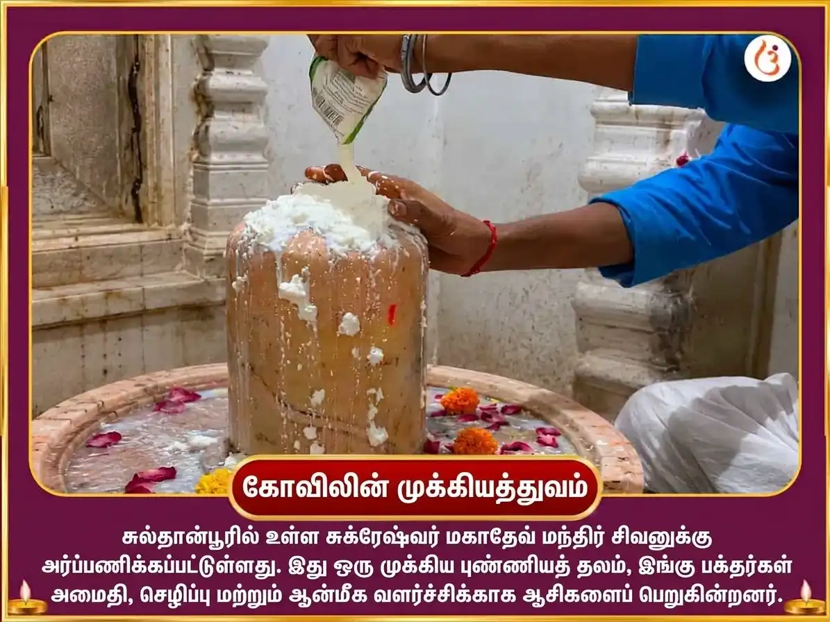 சுக்கிர பிரதோஷ விசேஷம் 6000 சுக்கிர மூல மந்திர ஜபம் & புளித்த தயிர் அபிஷேகம் puja gallery 4