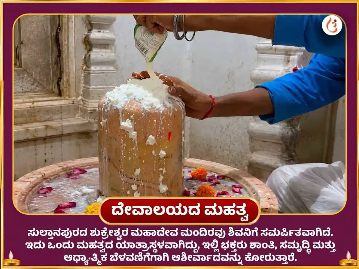 ಶುಕ್ರ ಪ್ರದೋಷ ವಿಶೇಷ 6000 ಶುಕ್ರ ಮೂಲ ಮಂತ್ರ ಜಾಪ ಮತ್ತು ಹುಳಿ ಮೊಸರಿನ ಅಭಿಷೇಕ puja gallery 4