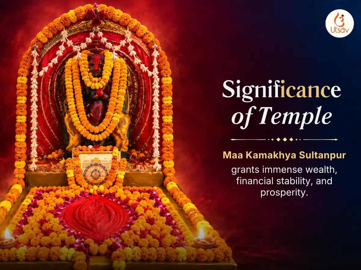 Diwali Special Maha Nishitha Shri Kameshwari Dhanakarshan Evam Raj Vaibhav Siddhi Anushthan & Rakta Abhishek puja gallery 5
