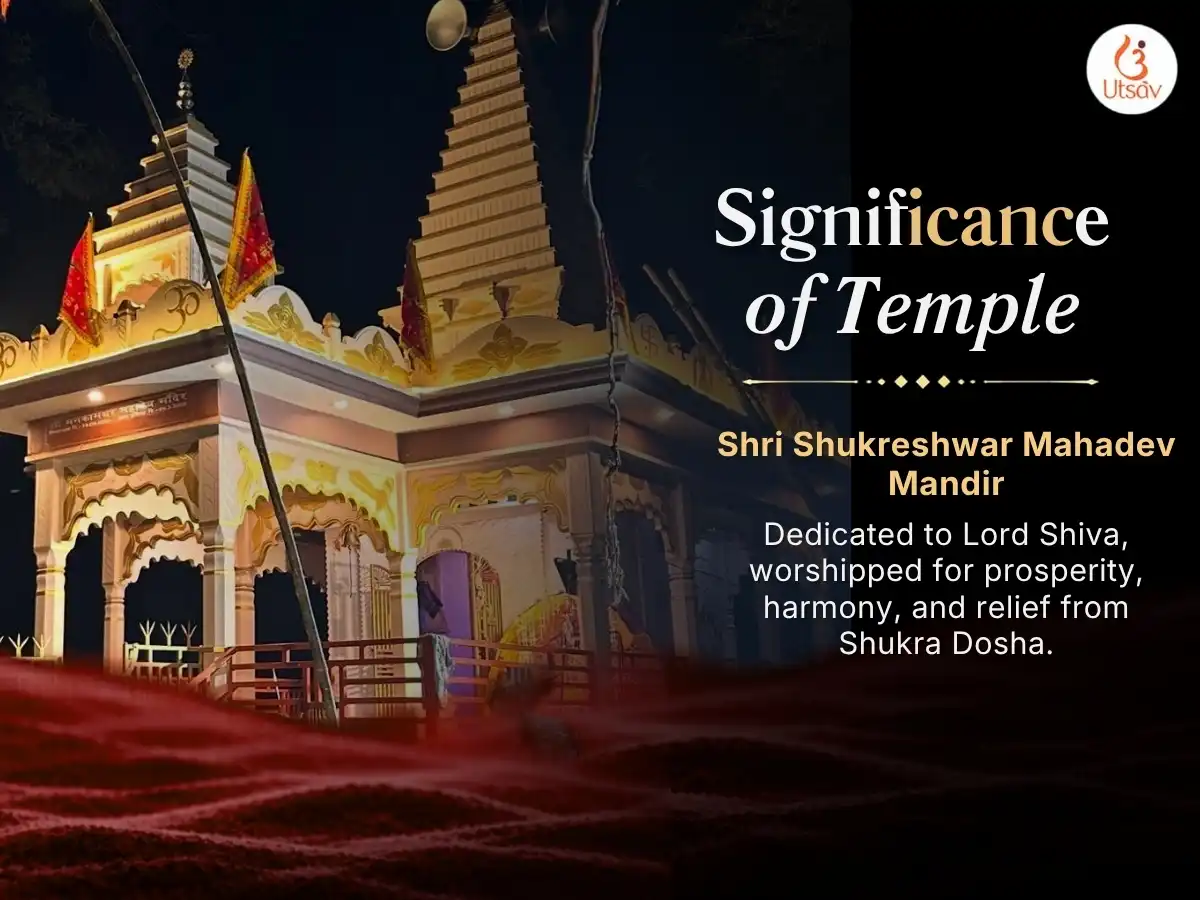 Shukra Retrograde 6:6 Portal Vishesh 6,000 Shukra Mool Mantra Jaap & Khatta Dahi Abhishek puja gallery 5