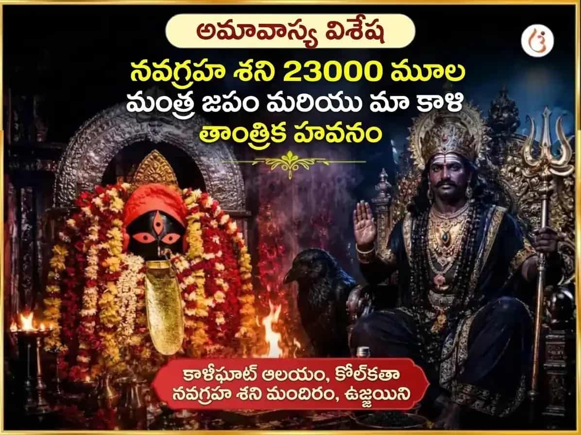 ఫలహారిణి అమావాస్య విశేష్ మా కాళి తాంత్రిక హవనం & నవగ్రహ శని విశేష్ తైల తిల దానం puja image 1