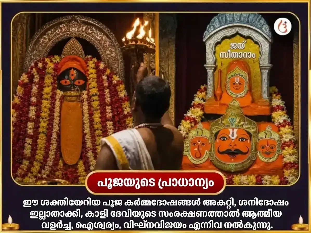 ദീപാൻവിത അമാവാസി വിശേഷ് നവഗ്രഹ ശനി 23000 മൂലമന്ത്ര ജപവും മാ കാളി താന്ത്രിക ഹവനവും puja gallery 5