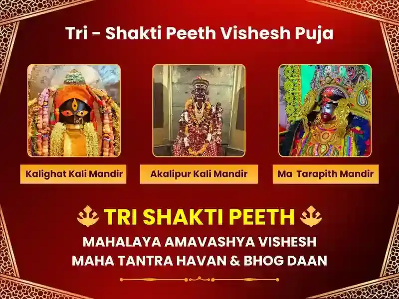 Kalighat Tarapith & Akalipur Guhya Kali | Tri-Shakti Special Maha Tantra Havan & Bhog Daan puja image 1