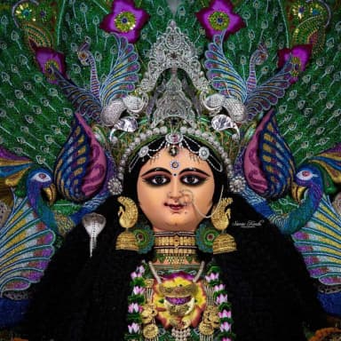 Rathersarak Jagadhatri Puja Samity pic