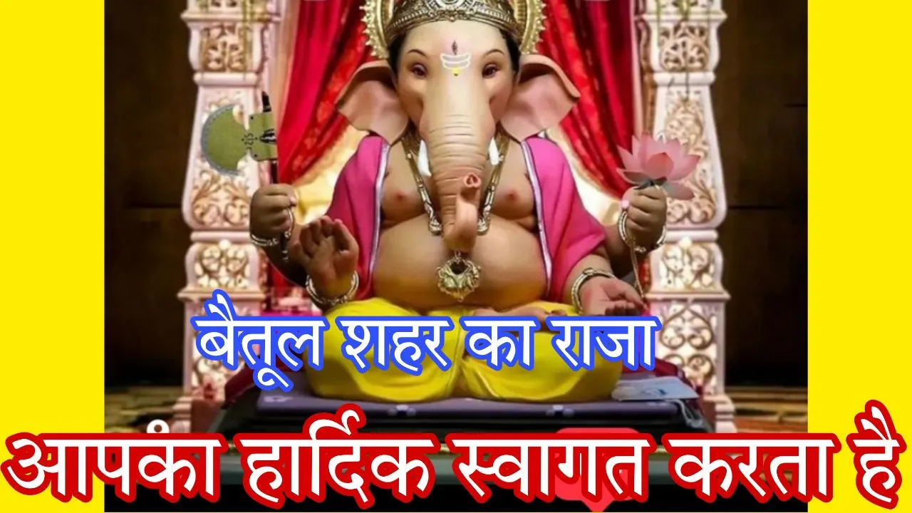 Shree Siddhi Vinayak Ganesh Utsav Mandal Betul-cover