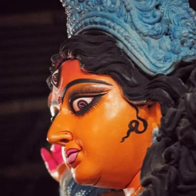 Kanungo Sarbojanin Durgotsab pic