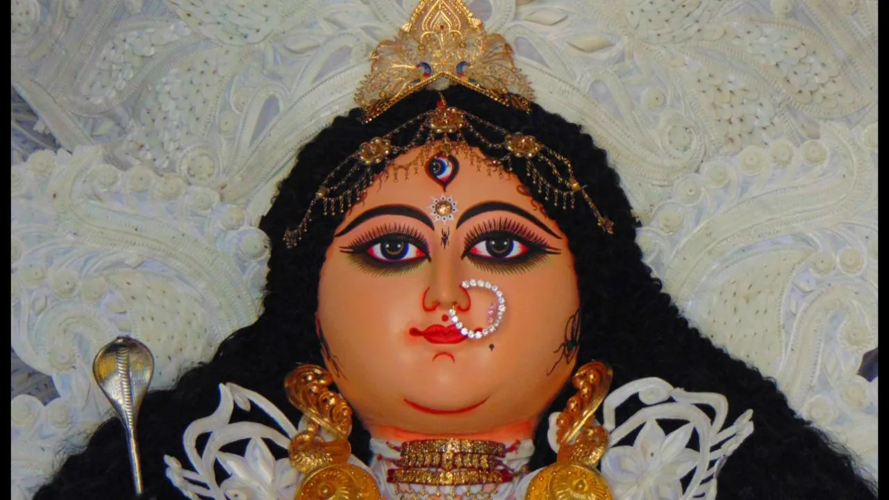 Sauli Sarbajanin Jagadhatri Puja Committee-cover