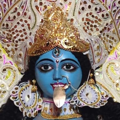 পাথুরিয়া ঘাটা বালক সংঘ pic