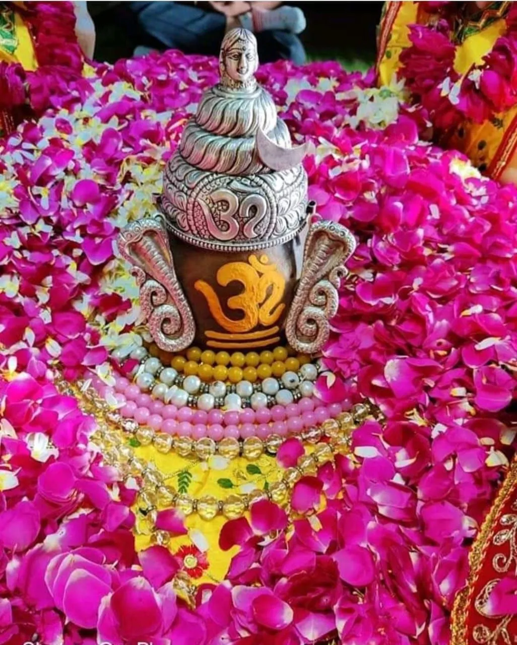 RudrabhishekUtsav Kriya Image
