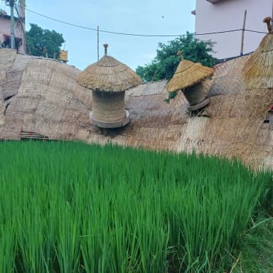 ULTADANGA BIDHAN SANGHA pic