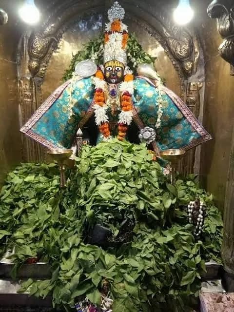 तुलसी अर्चनUtsav Kriya Image