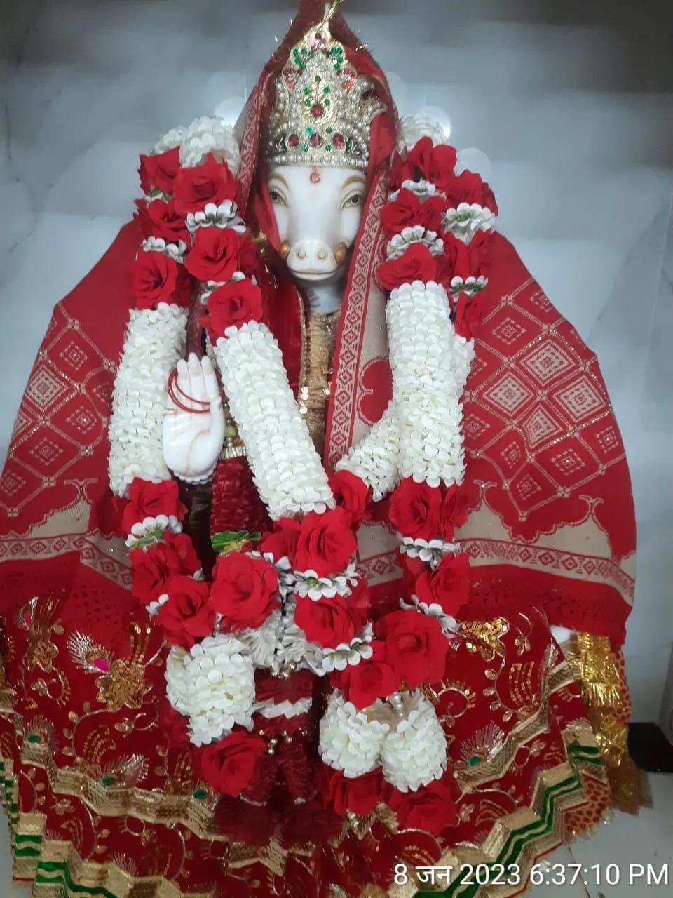 Ganeshji & Varahi Mata PujaUtsav Kriya Image