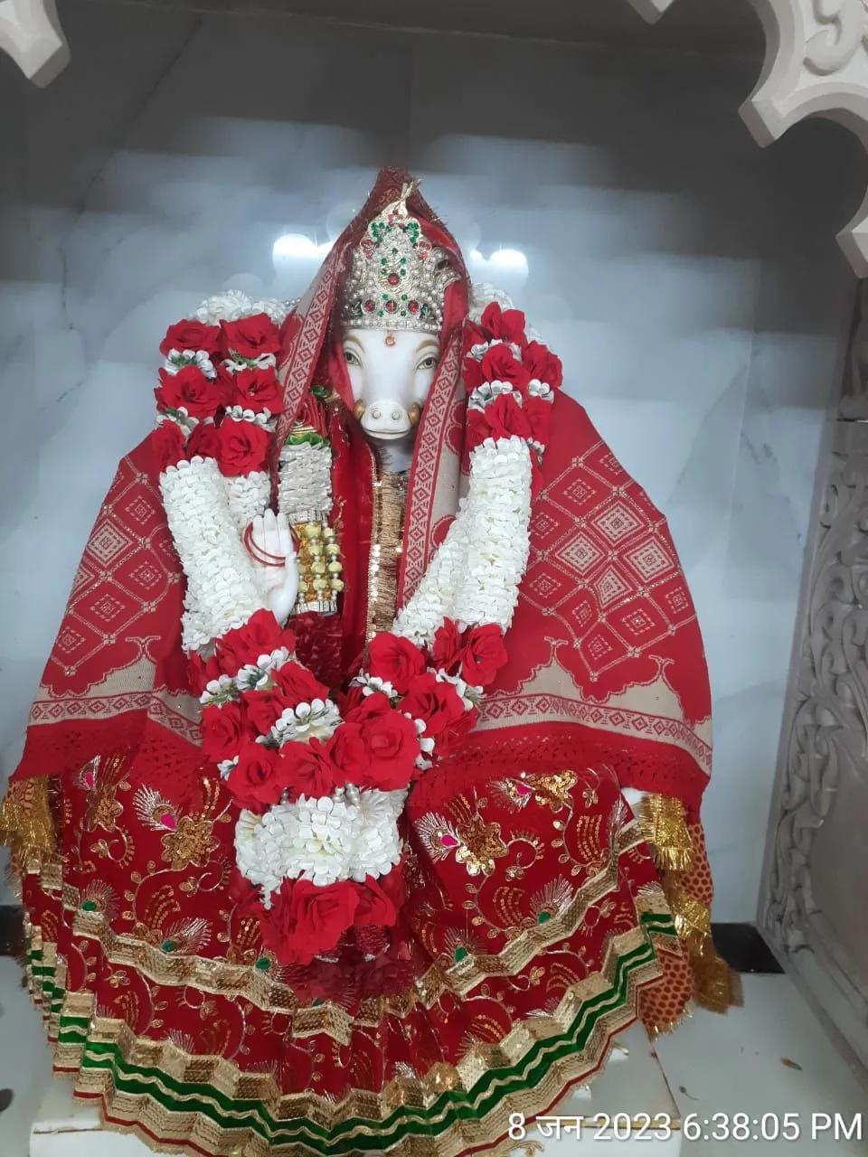 Ma Varahi 31000 Satrunash JaapUtsav Kriya Image