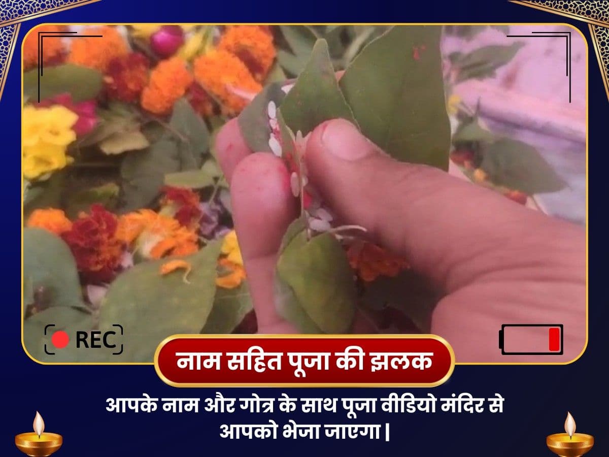 बाबा बैद्यनाथ ज्योतिर्लिंग तीर्थ क्षेत्र संजीवनी महापूजा image