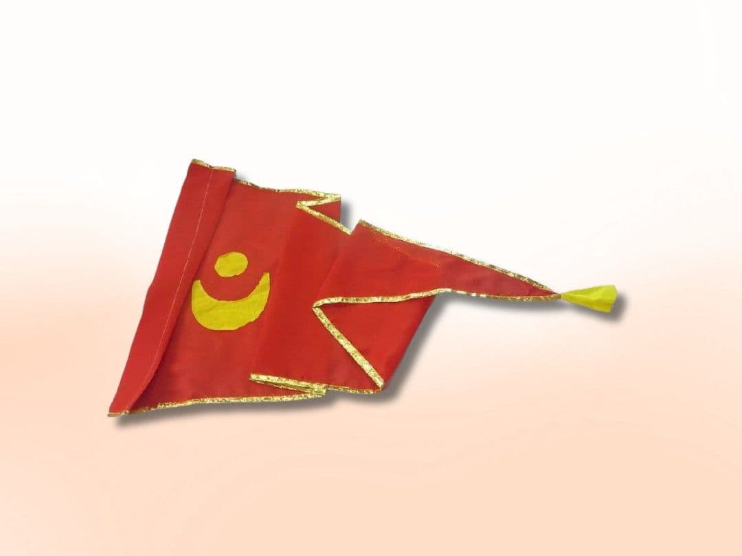 Dhwaj Vandhan SevaUtsav Kriya Image