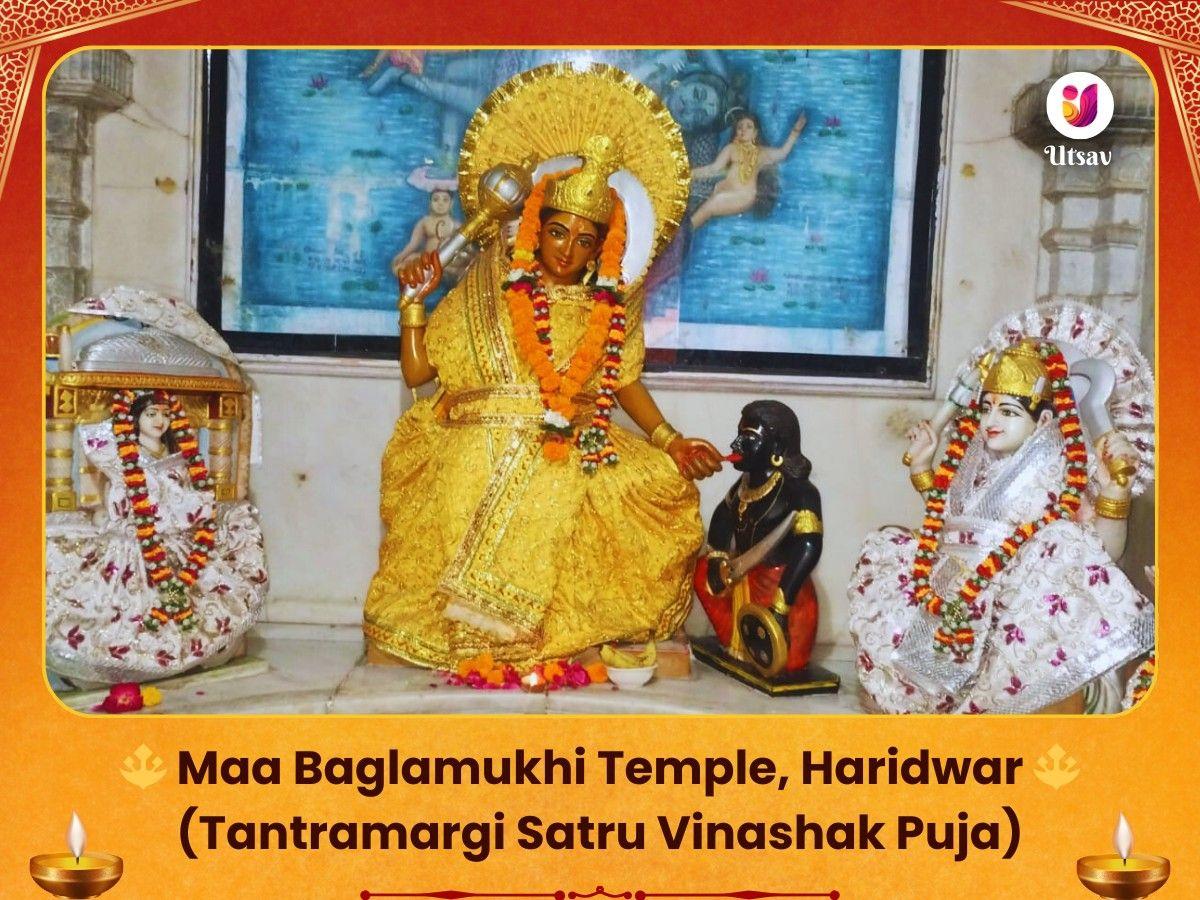 Ma Bagalamukhi, Haridwar Tantramargi Satru Vinashak Puja Utsav Kriya