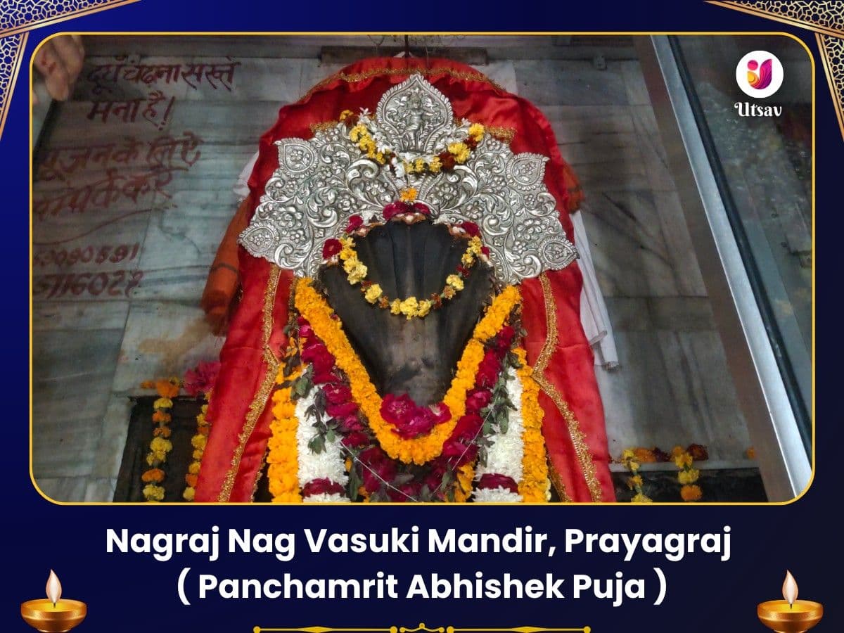 Nag Panchami Vishesh Nagraj Nag Vasuki Mandir Prayagraj Panchamrit Abhishek Puja image