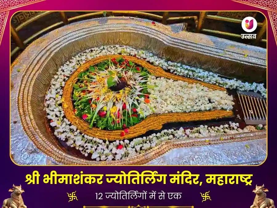 भीमा शंकर ज्योतिर्लिंग सर्व बाधा मुक्ति विशेष महा पूजा image
