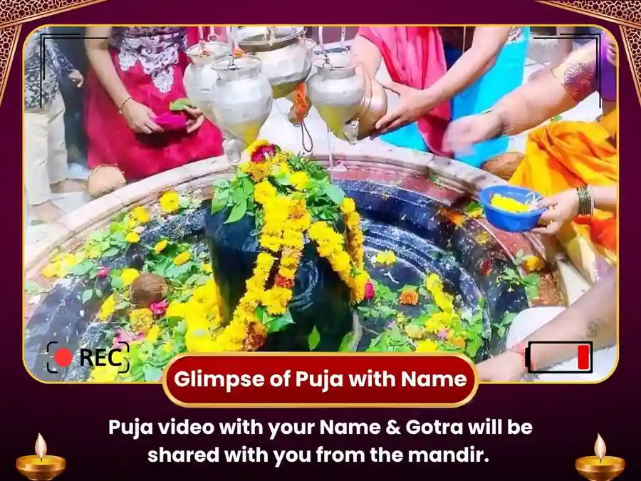 Nageshwar Jyotirlinga Visesh Puja For Gemini/Mithun Rashi image