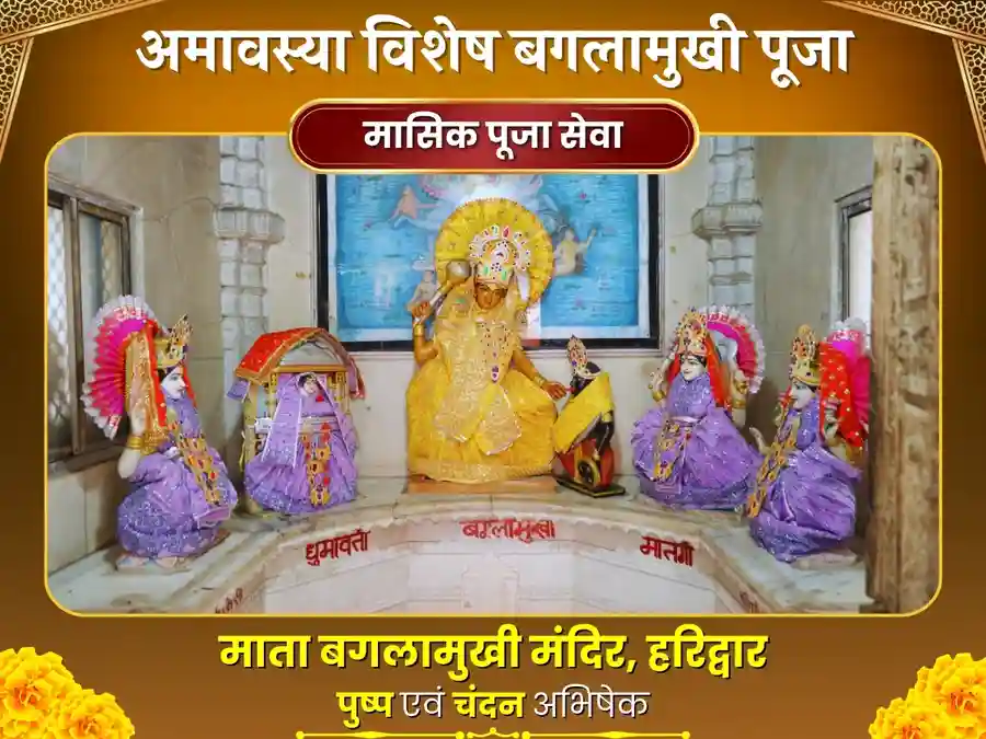 माँ बगलामुखी मंदिर हरिद्वार मासिक अमावस्या विशेष पीला पुष्प और चंदन दान image