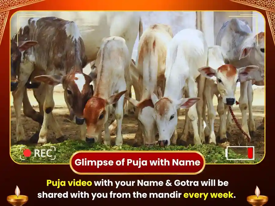 Haridwar Ganga Ghat Weekly Gau Seva & Bramhin Bhojan image