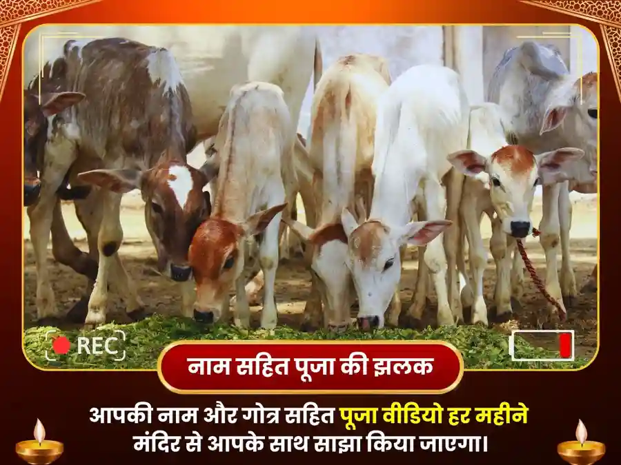 हरिद्वार गंगा घाट साप्ताहिक गौ सेवा एवं ब्राह्मण भोजन image