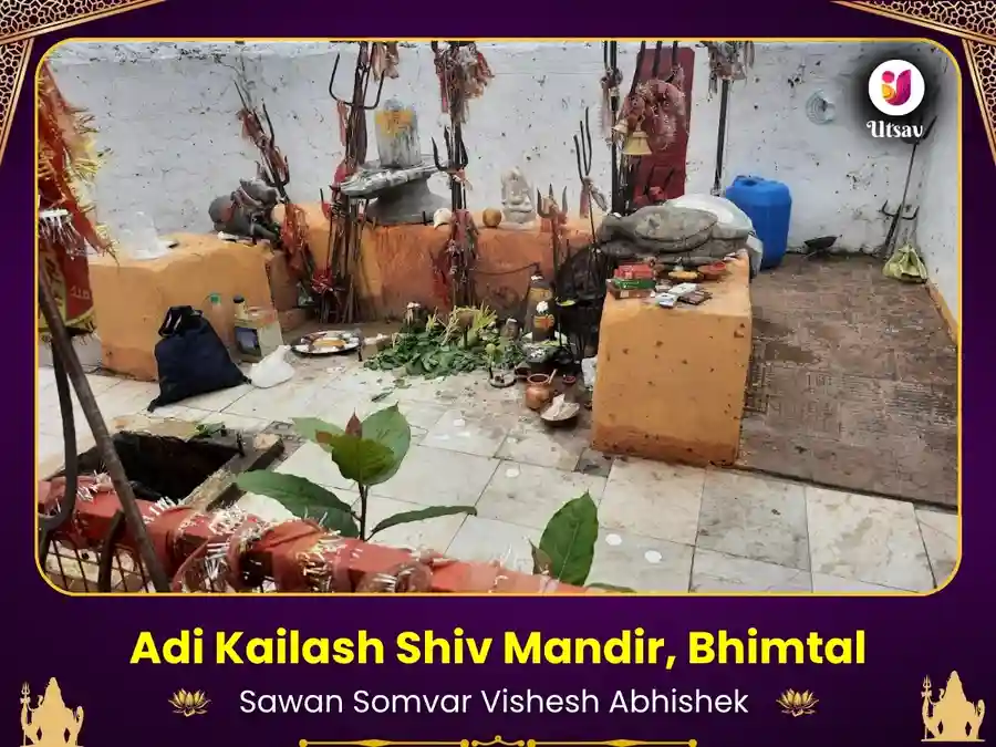 Adi Kailash Navgraha Shanti Maha Rudrabhishek Puja image