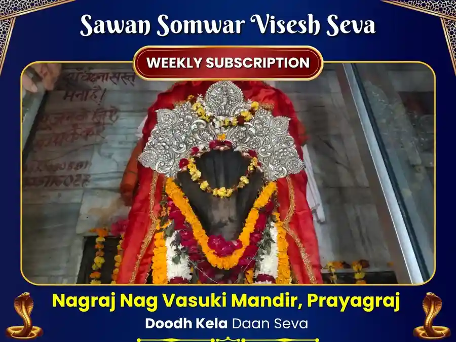 कालसर्प दोष निवारण के लिए नागवासुकि मंदिर प्रयागराज साप्ताहिक दूध कला दान सेवा Utsav Kriya