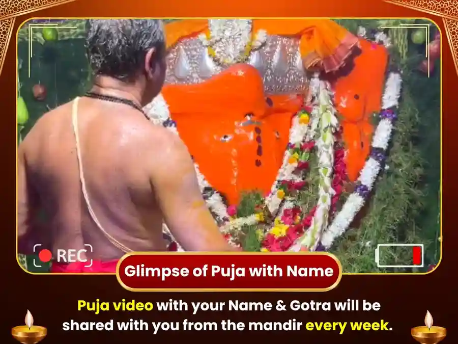 Ketu Shanti Dosh Mukti Weekly Daan Seva - Chintamani Ganesh image