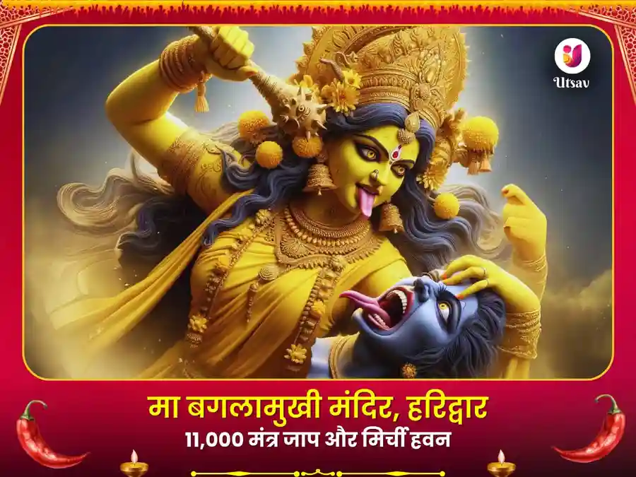 मां बगलामुखी 11000 मूल मंत्र जाप एवं मिर्ची हवन image