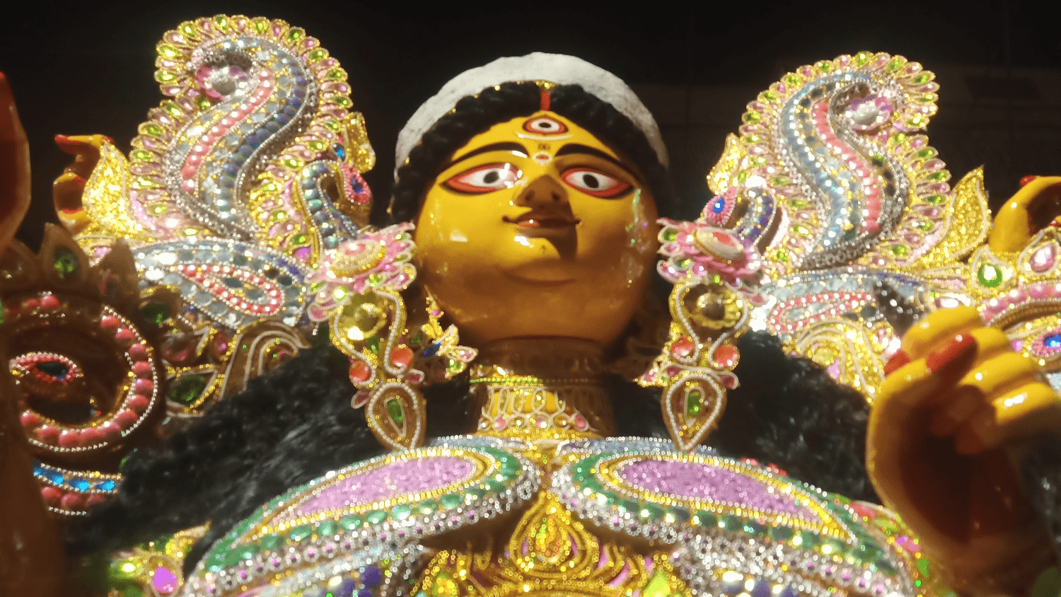 Sarbojanin Durgotsav Committee Vanishkali Pallybasi Brinda-cover