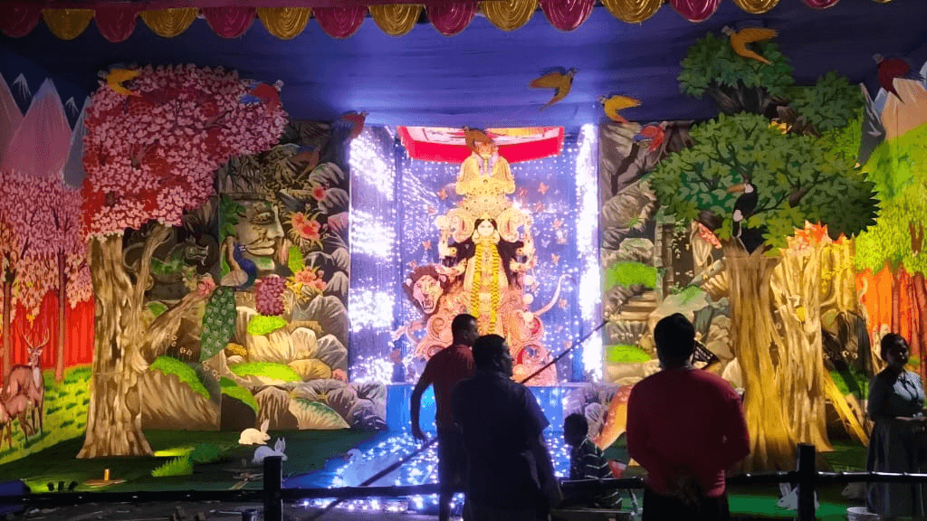 Natun TiliGhat Jagadhatri Puja Samity-cover