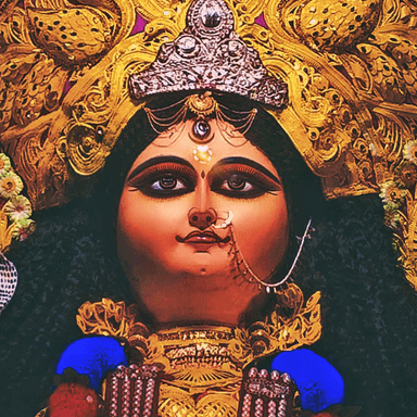 DINEMARDANGA SHIW MANDIR JAGADHARI PUJA COMMITTEE( OFFICIAL ) pic