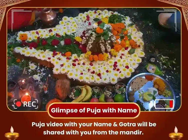 Rin Mukteshwar Mahadev - Panchamrit Abhishek Puja image