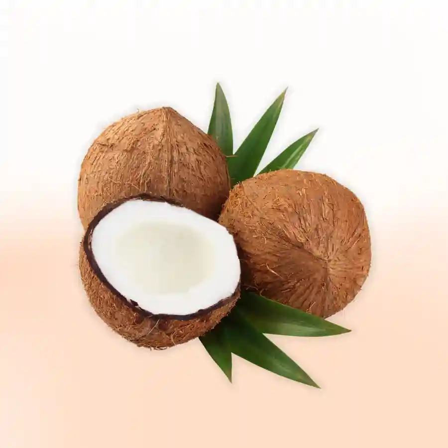 3 Coconut DaanUtsav Kriya Image