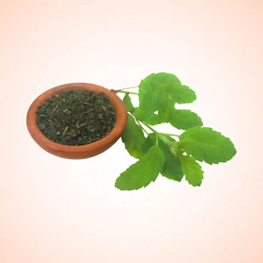तुलसी दान सेवाUtsav Kriya Image