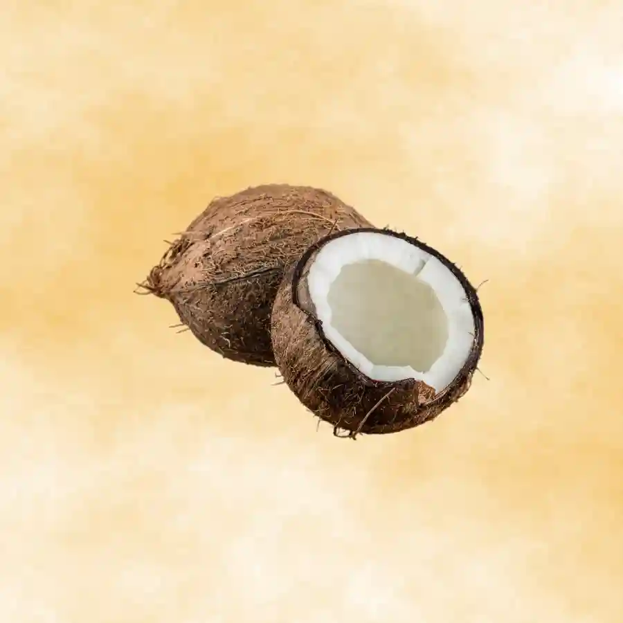 Coconut DaanUtsav Kriya Image