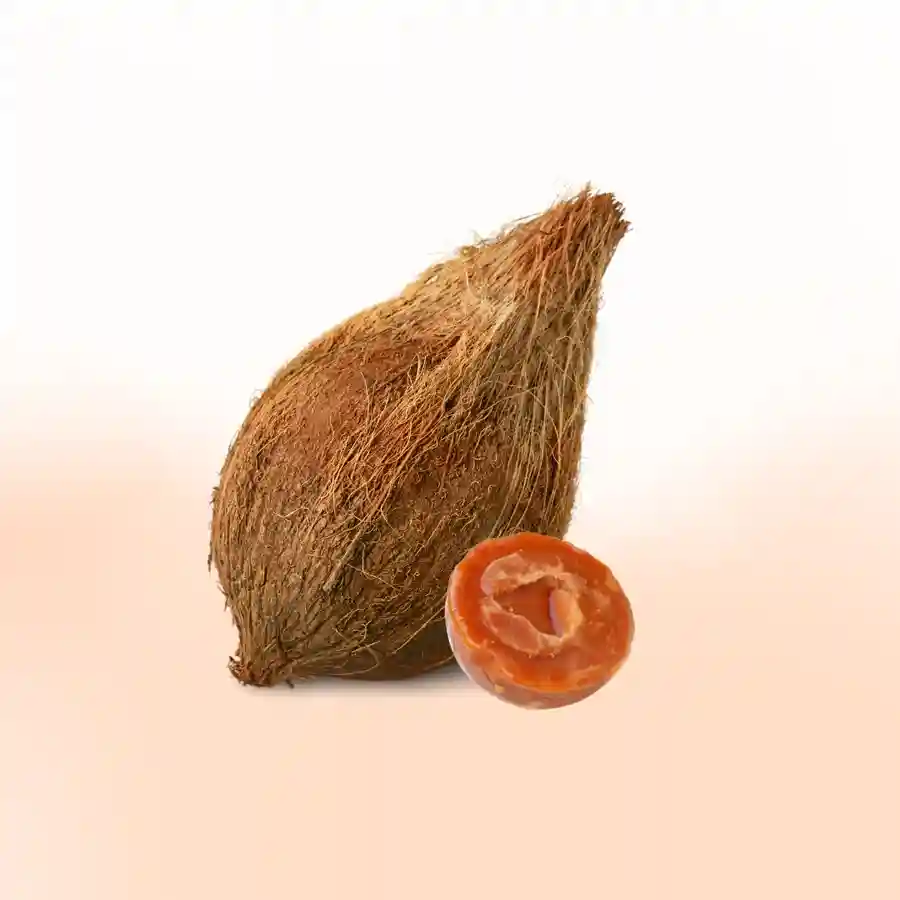 Gud &  Coconut DaanUtsav Kriya Image