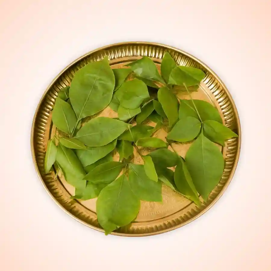 108 बिल्वपत्र अर्पणUtsav Kriya Image
