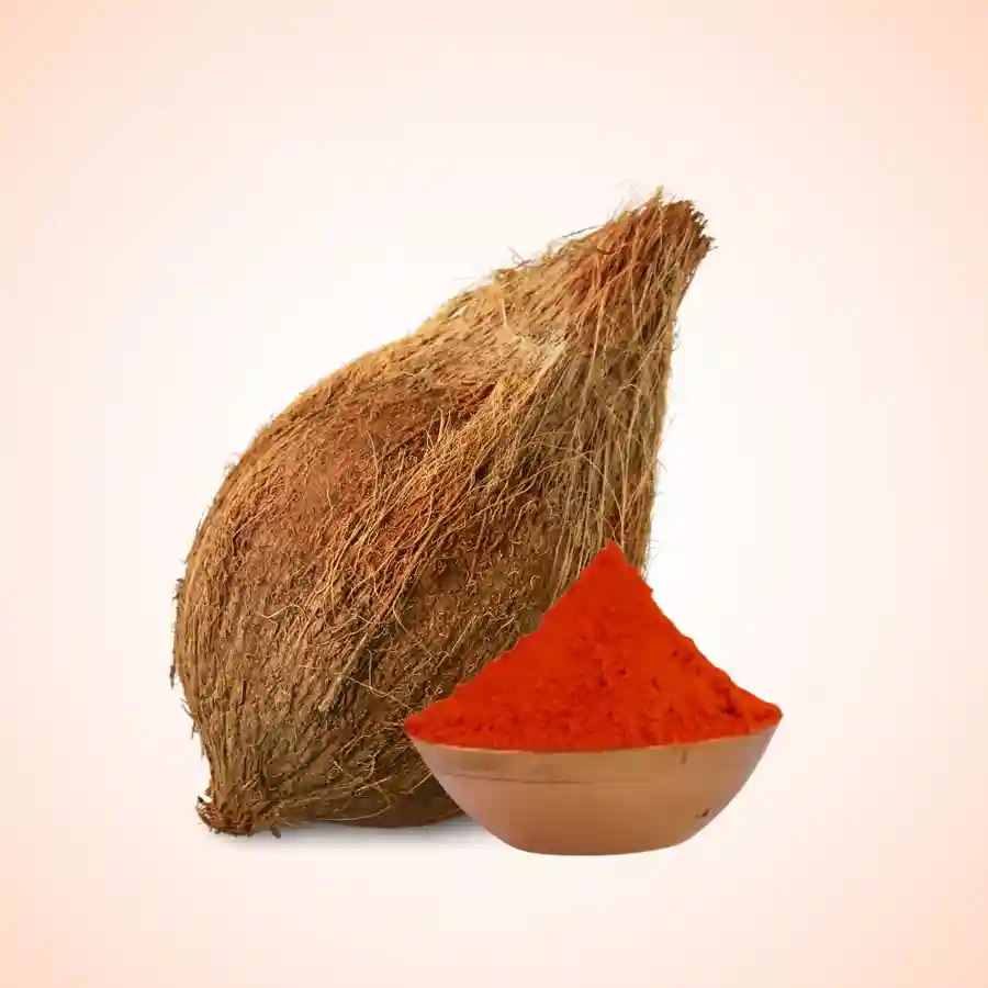 Coconut & Sindur DaanUtsav Kriya Image