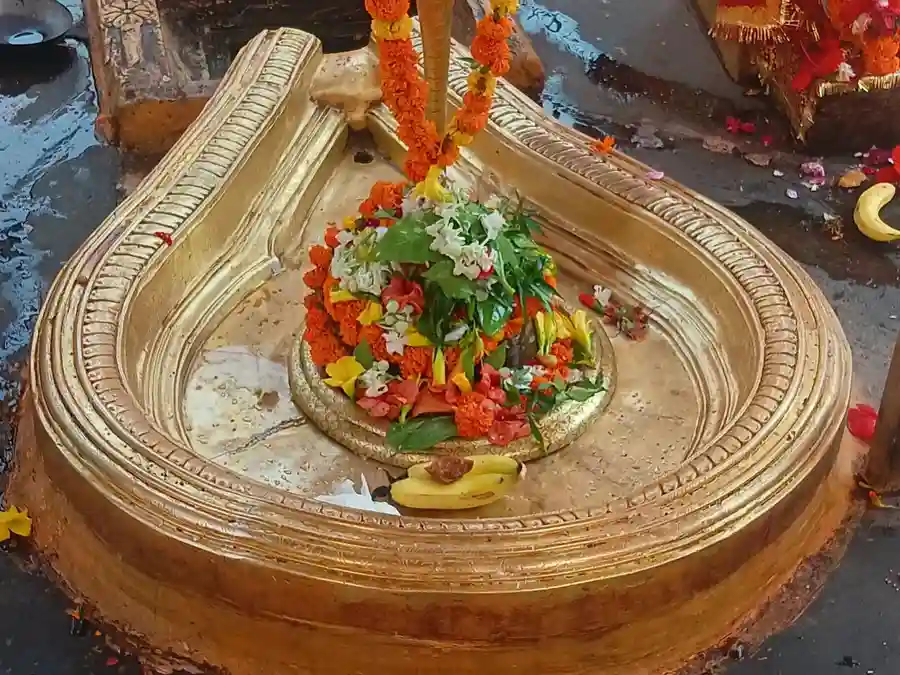 कमलेश्वर महादेव मंदिर ग्रह शांति के लिए विशेष दान सेवा image