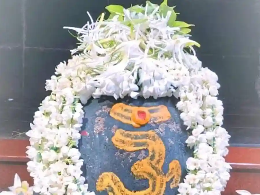Nageshwar Jyotirlinga  Visesh Puja For Mithun Rashi image