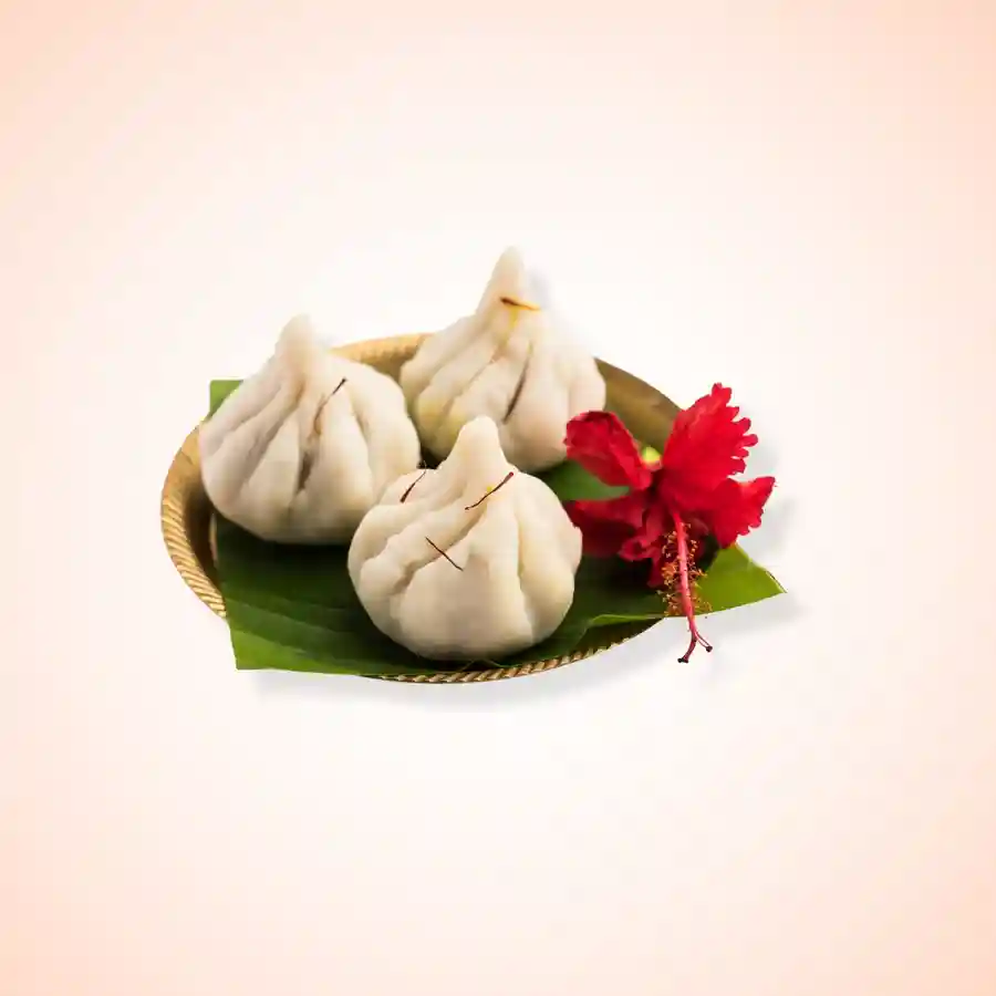 Modak DaanUtsav Kriya Image
