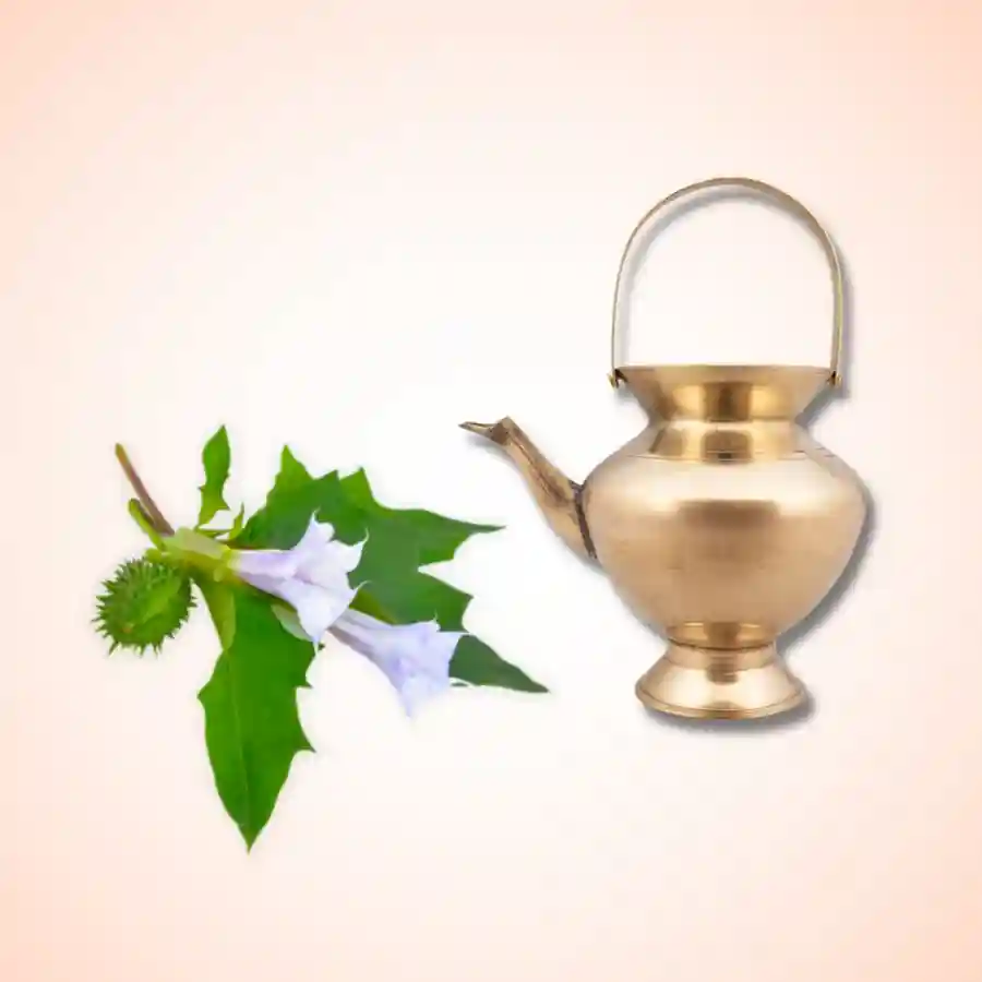 गंगा जल एवं धूत्र फूल अर्पणUtsav Kriya Image